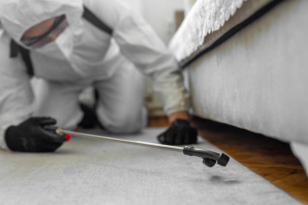 Professional Bed Bug Control technician working in Evanston, WY