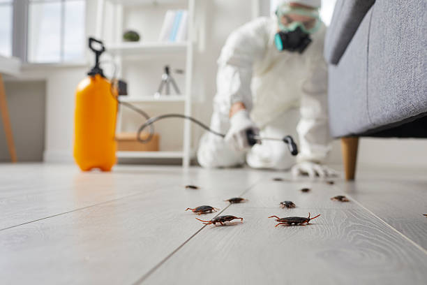 Trusted Termite Control service in Evanston, WY - Nex Pest Control